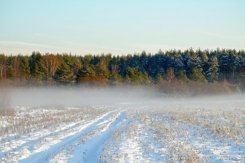 Wilderness Trails